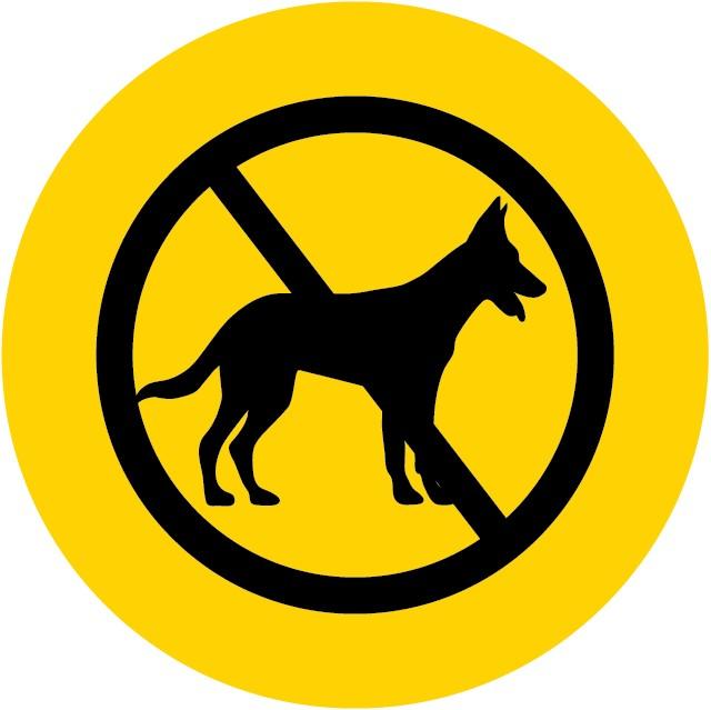 Animais