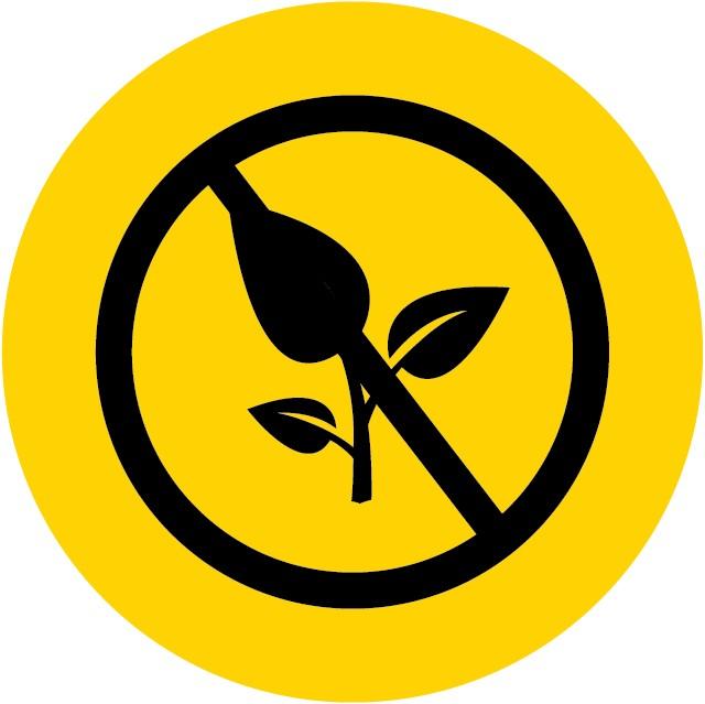 Vegetacao