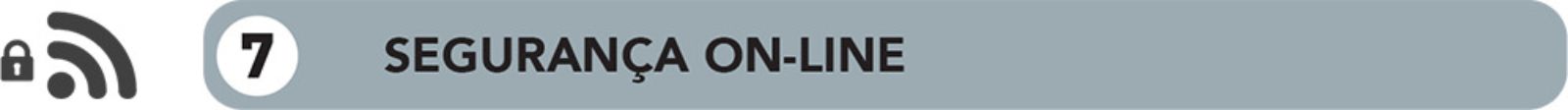 segurança on-line