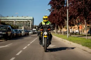 Vigilante de Mota