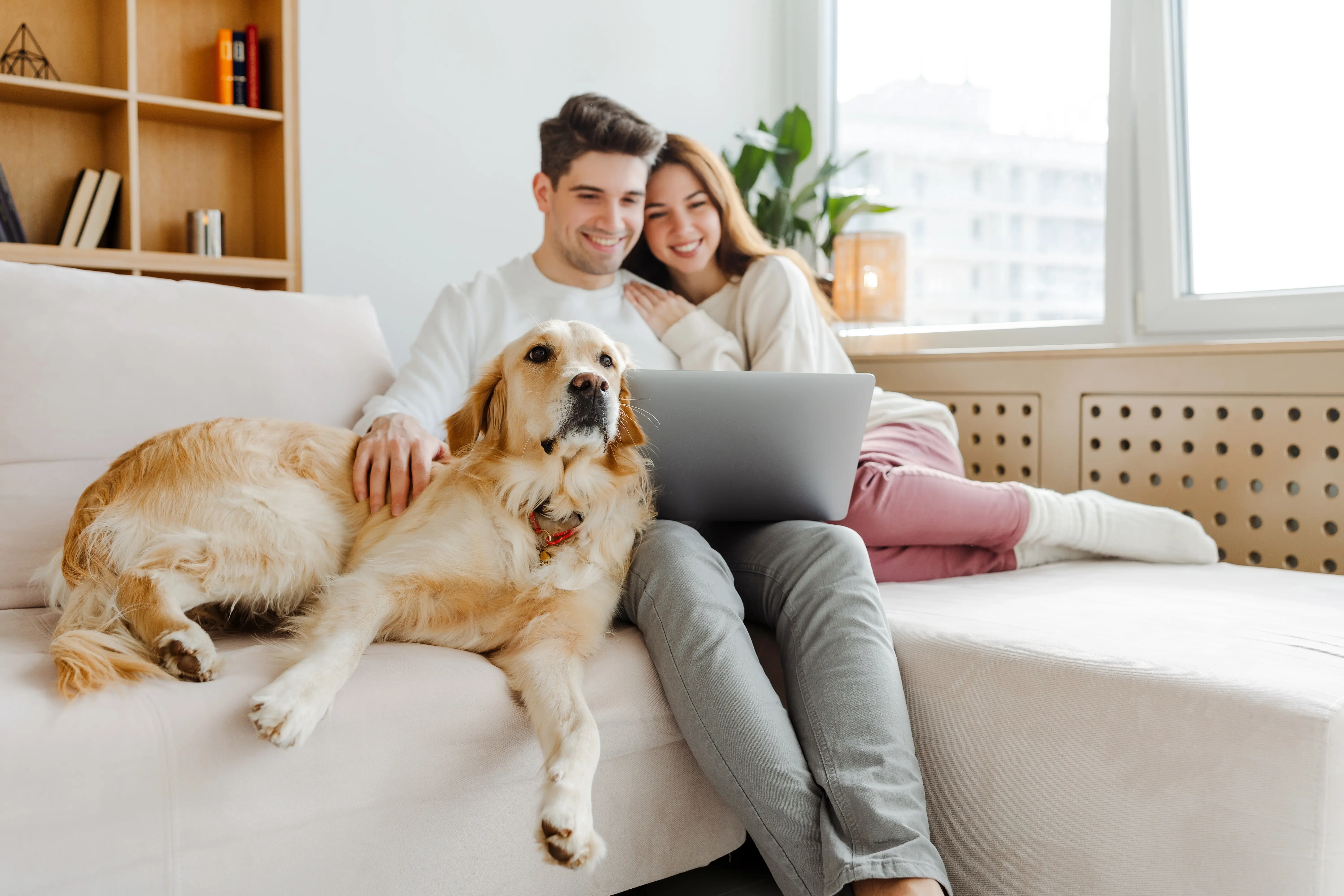 Casa segura: O guia completo para proteger o seu lar
