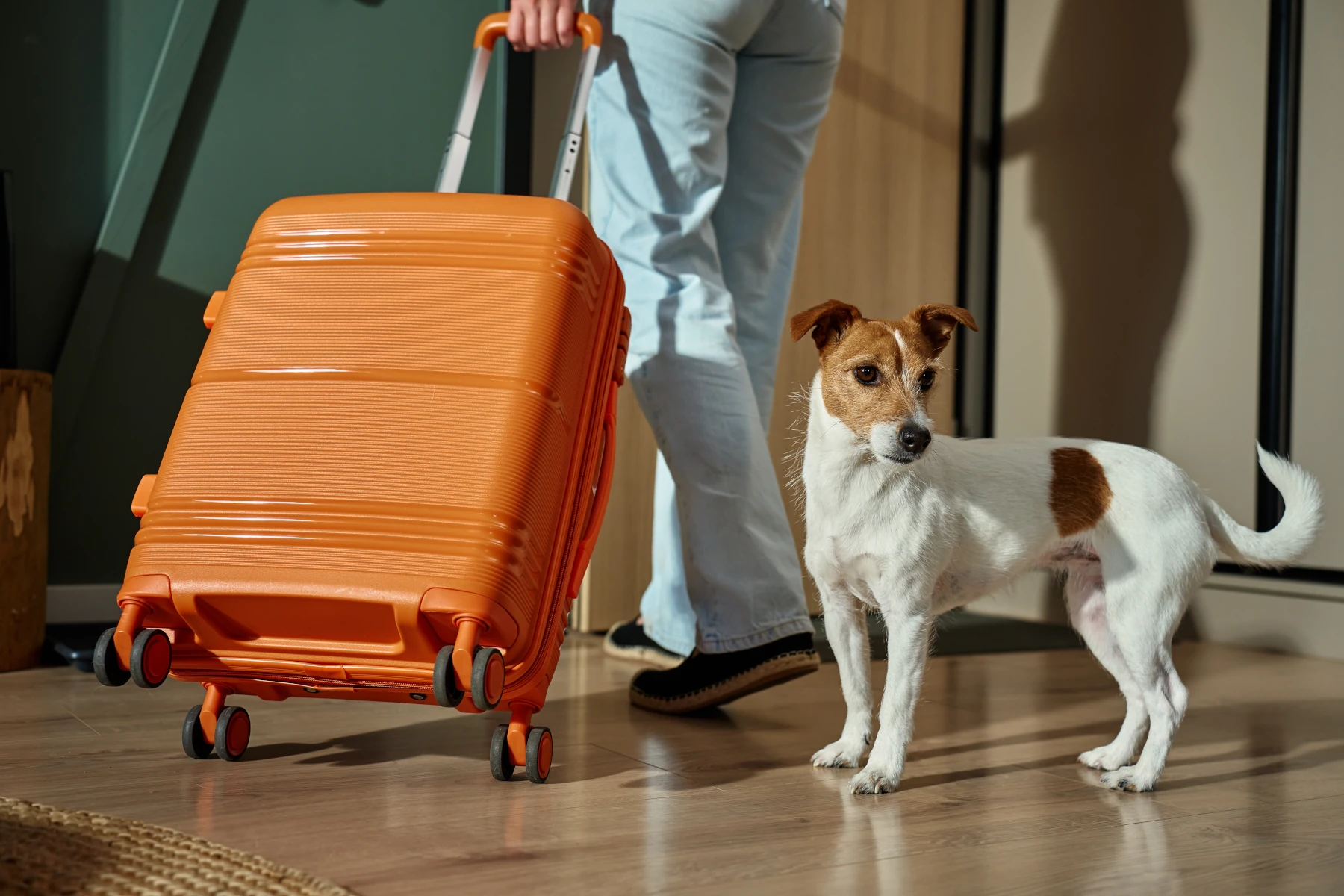 Segurança em viagem: 12 passos essenciais antes de viajar
